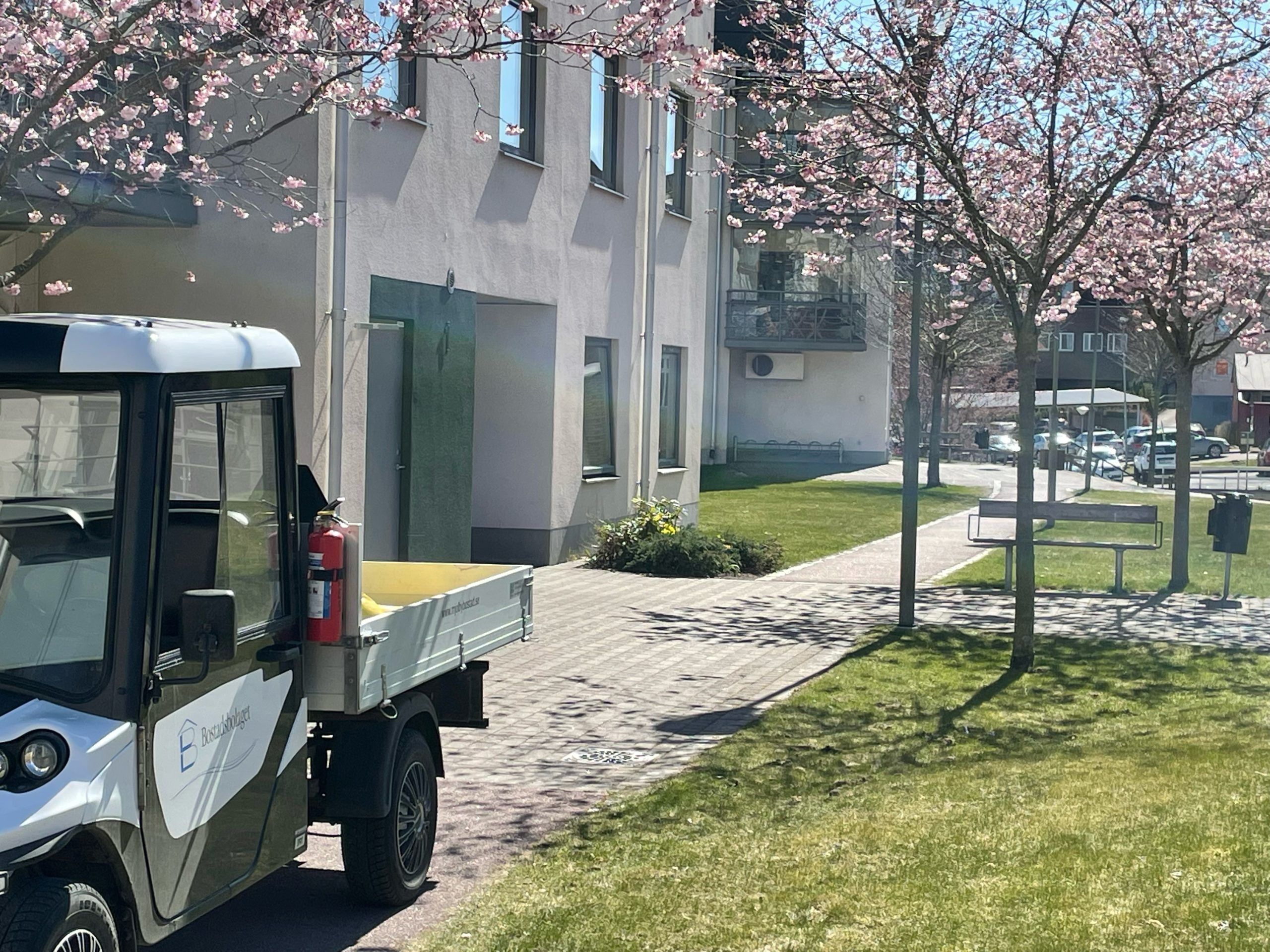 Körsbärsblommor framför en husfasad och golfbil med bostadsbolagets logga på